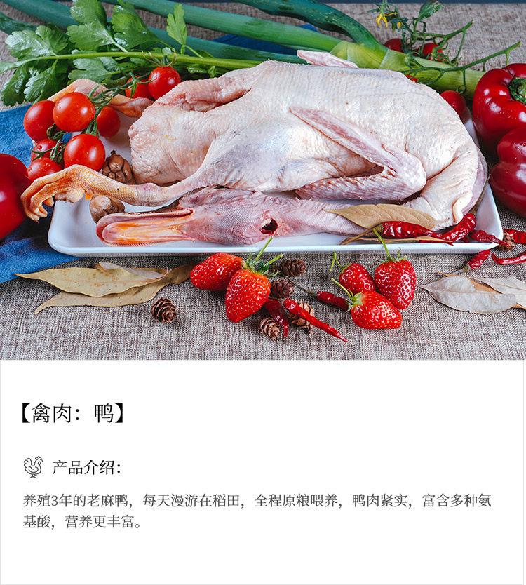 未标题-15_03.jpg