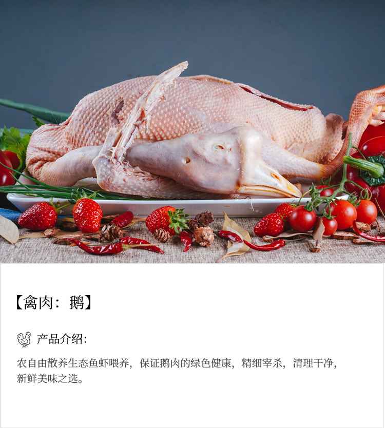 未标题-17_03.jpg