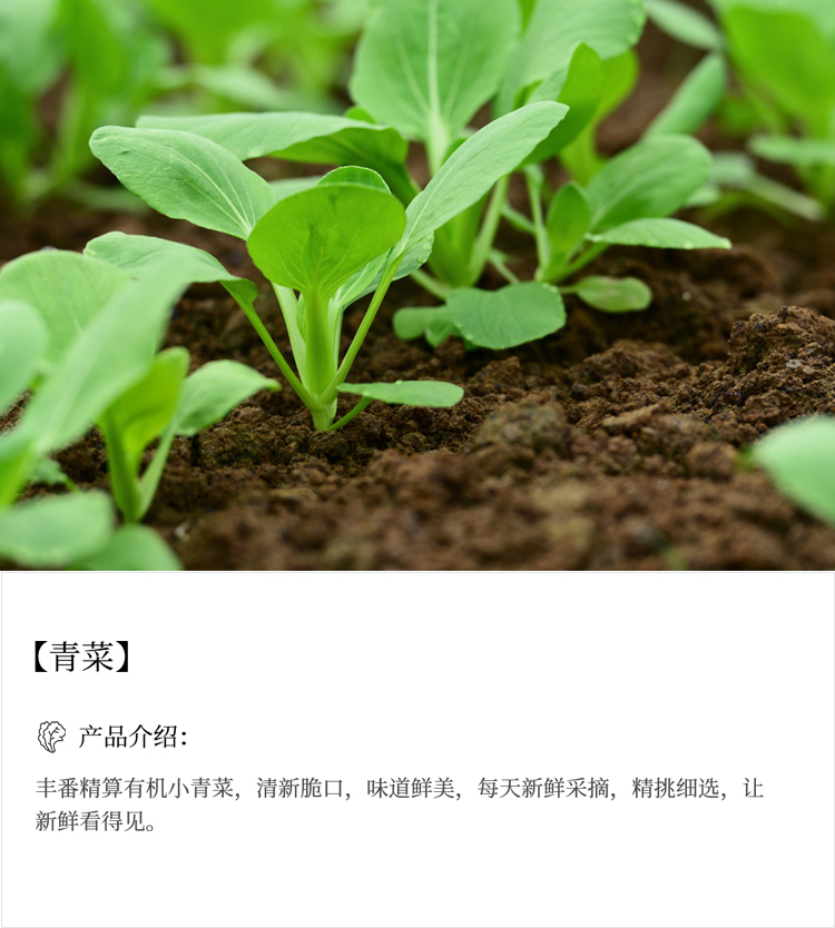 未标题-13_03.jpg