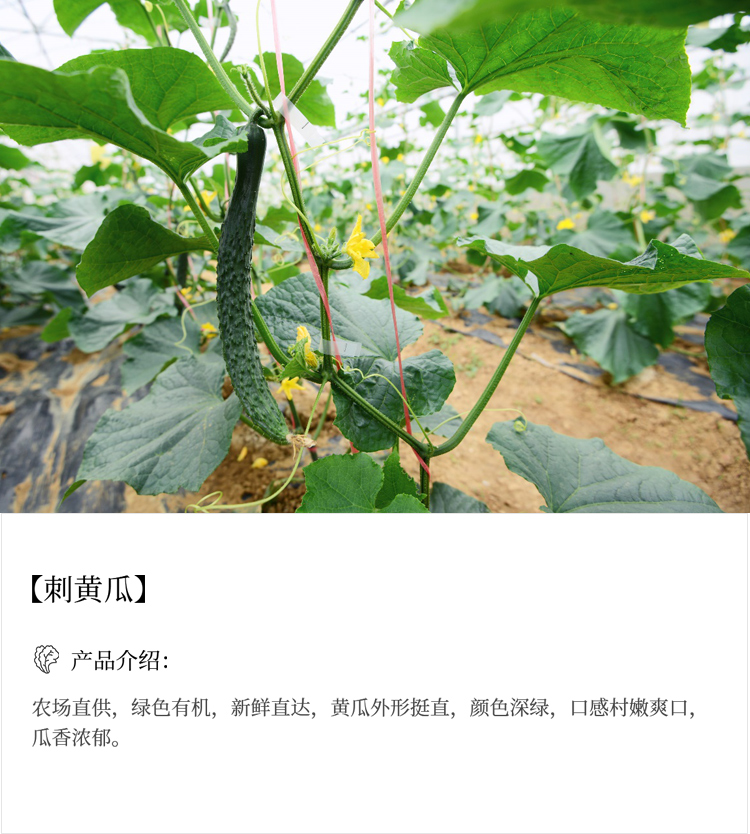 未标题-12_03.jpg