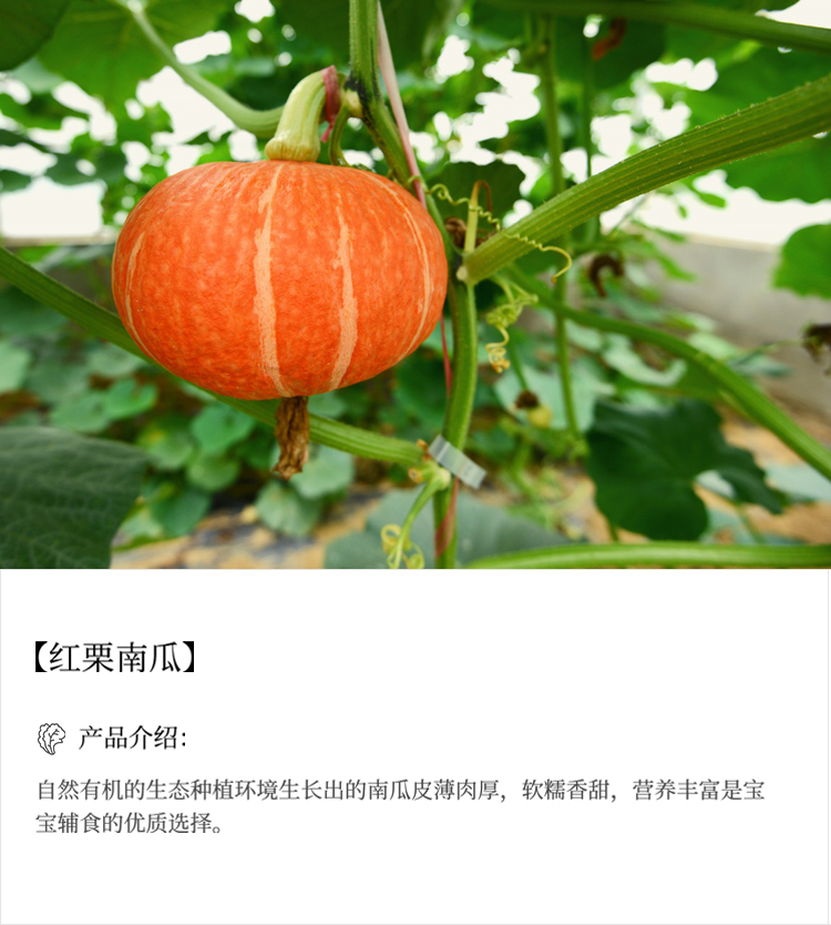 未标题-10_03.jpg