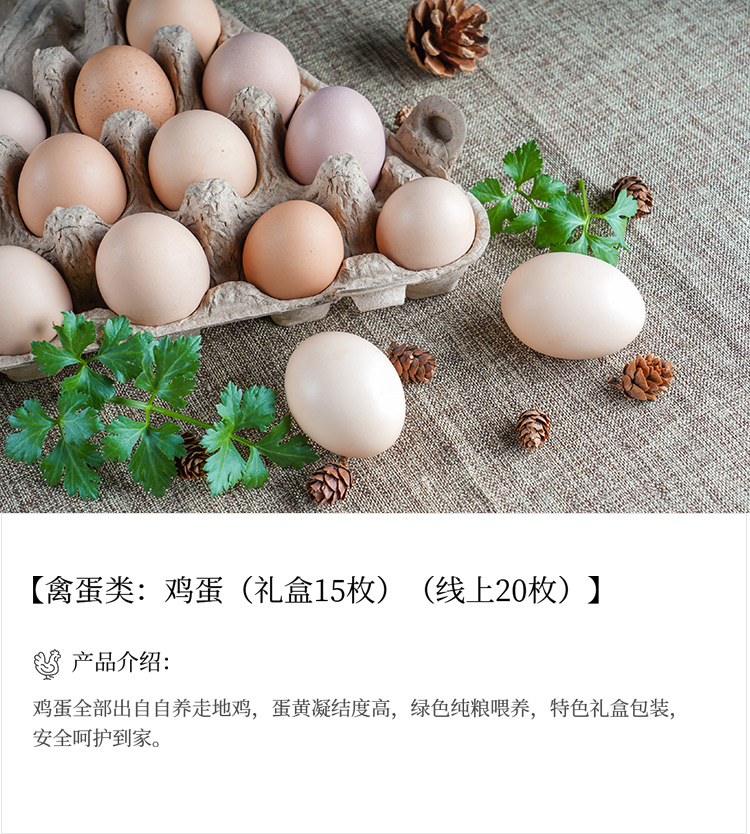 未标题-18_03.jpg