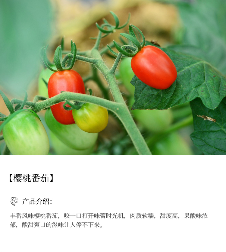 未标题-11_03.jpg
