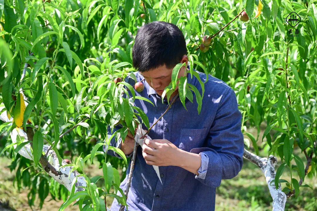 3441652487507351.jpg 微信图片_20220514075634.jpg