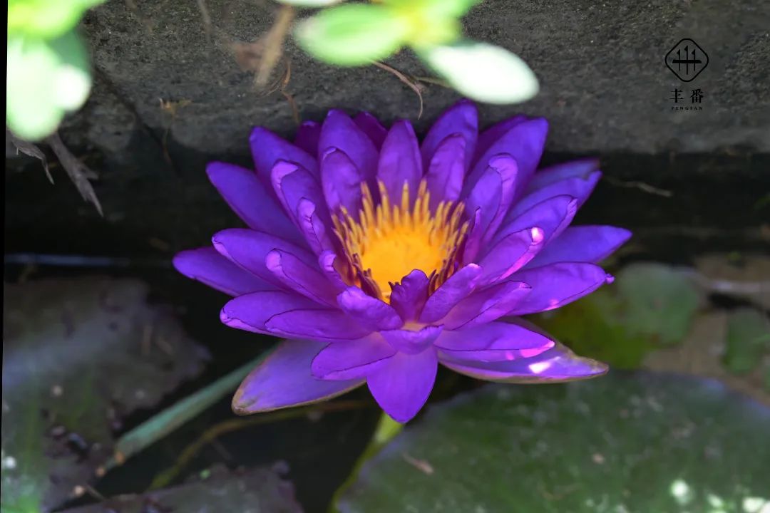 4821657251927908.jpg 640 (11).jpg