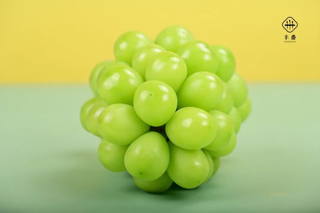 2011659601703620.jpg 640 (12).jpg