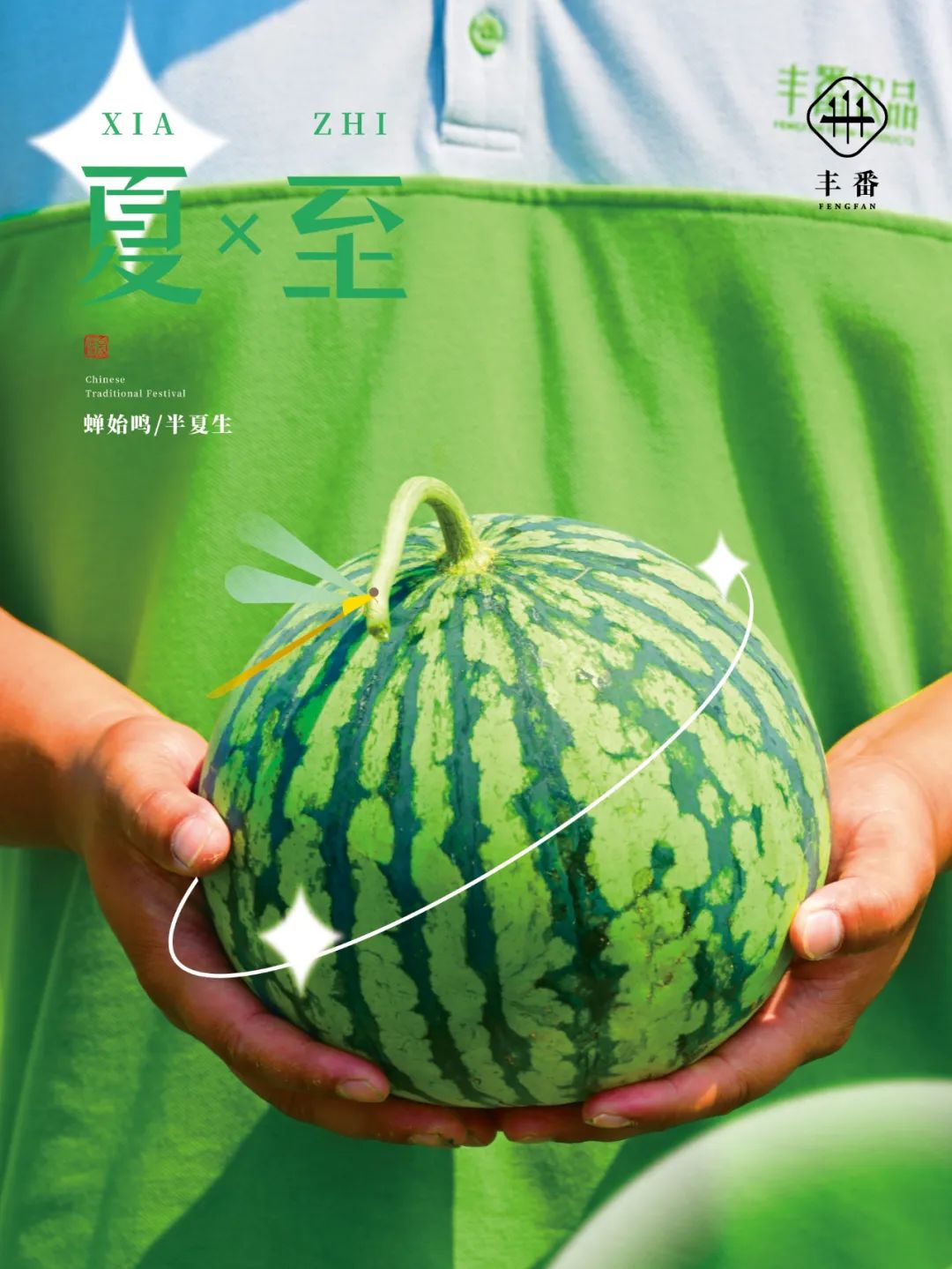 夏至 | 一个充满各种期待的节气~~